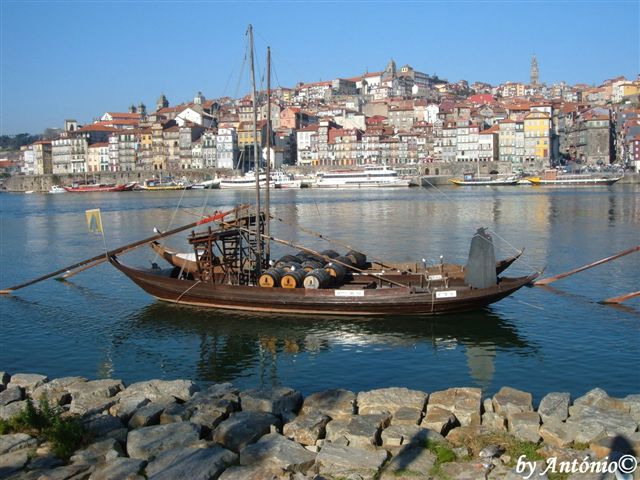 [DSCF0442.JPG]