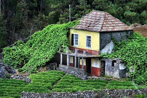 [MADEIRA+RECLASSIFICADA+(8).jpg]