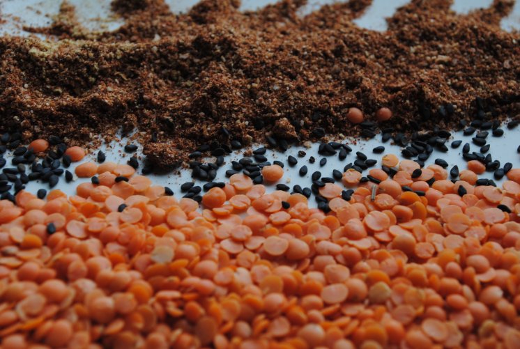 [berbere+,+ajowan+and+lentils.jpg]