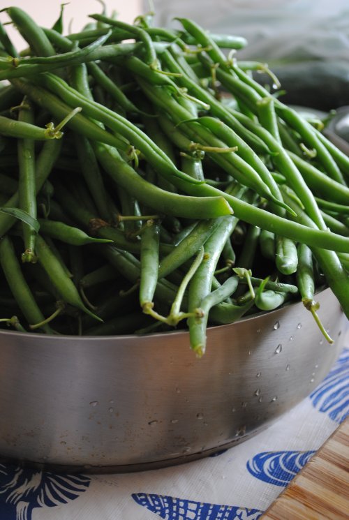 Lori's Lipsmacking Goodness: Hot Dilly Beans