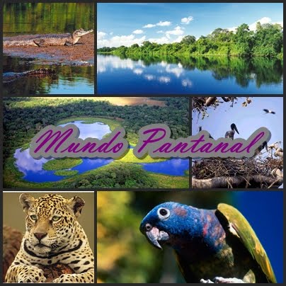 Mundo Pantanal