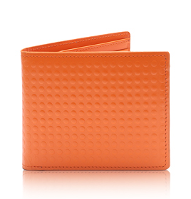 [Picture+2.png]