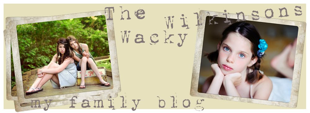 The Wacky Wilkinsons