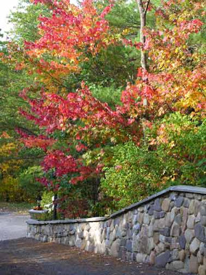 fall foliage at wall