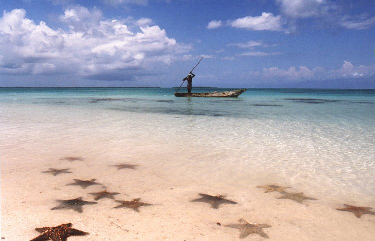 [Zanzibar_2.jpg]