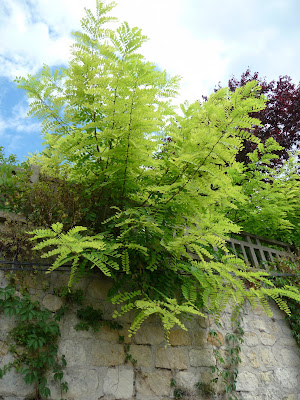 L Atelier Du Laurier Rouge Les Couleurs De L Ete Dans Les Jardins