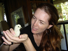 Sunny and the Silkie Chick
