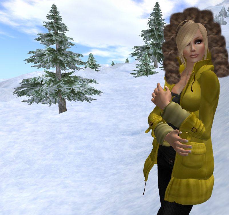 [1aoharuamarillo_002.jpg]