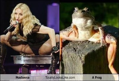 http://3.bp.blogspot.com/_K1uEEm6s-aM/SwB8TLSQa4I/AAAAAAAAAC8/sJJIcAjPia4/s400/Madonna.jpg