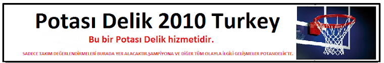 2010 Dünya Şampiyonası Takımları