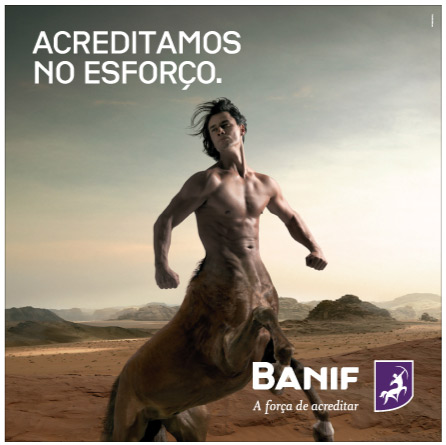 [bichona.jpg]