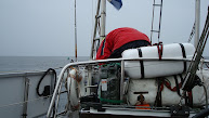 Koen heeft veel werk met vis schoonmaken
