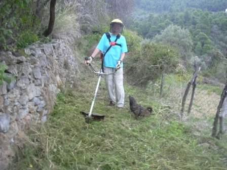 [Hev+Moutero+pathclearing.JPG]