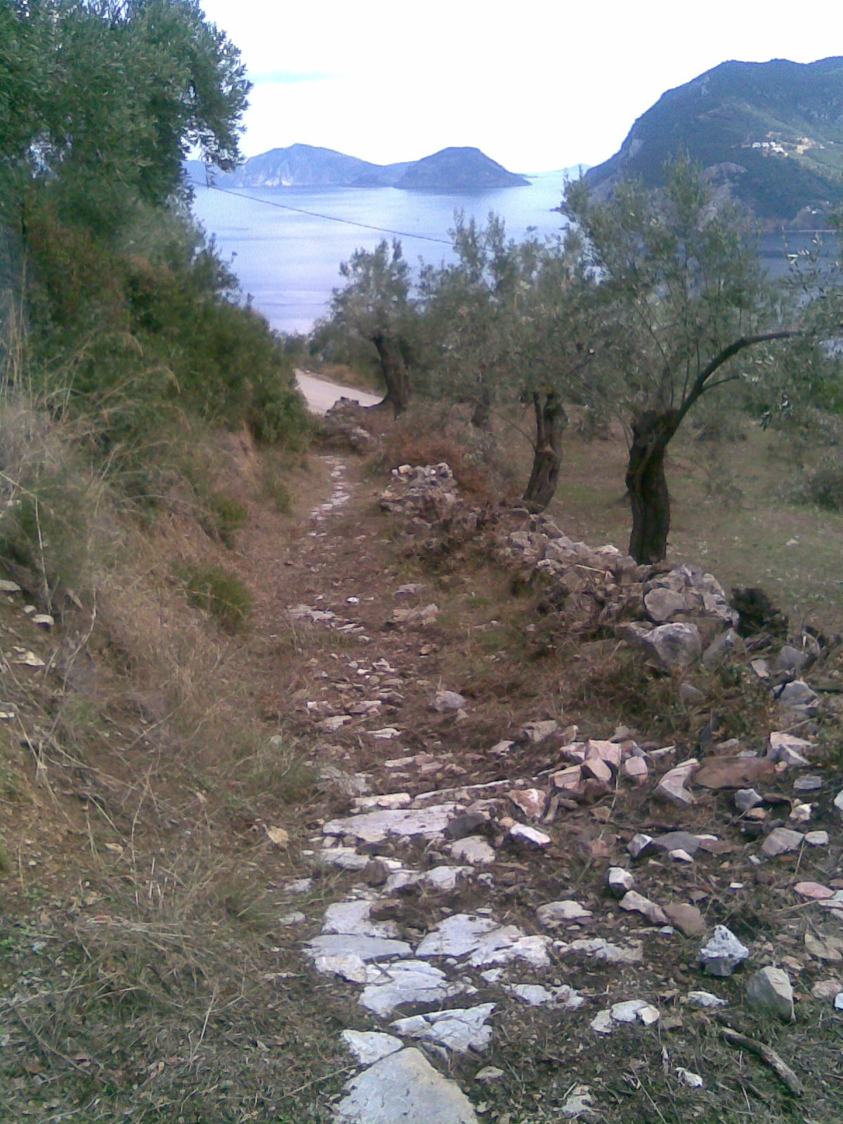 [Prof+Ilias+calderemi.jpg]