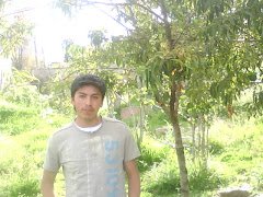 rodri