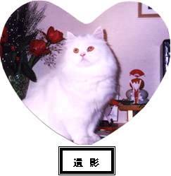 [遺影.JPG]