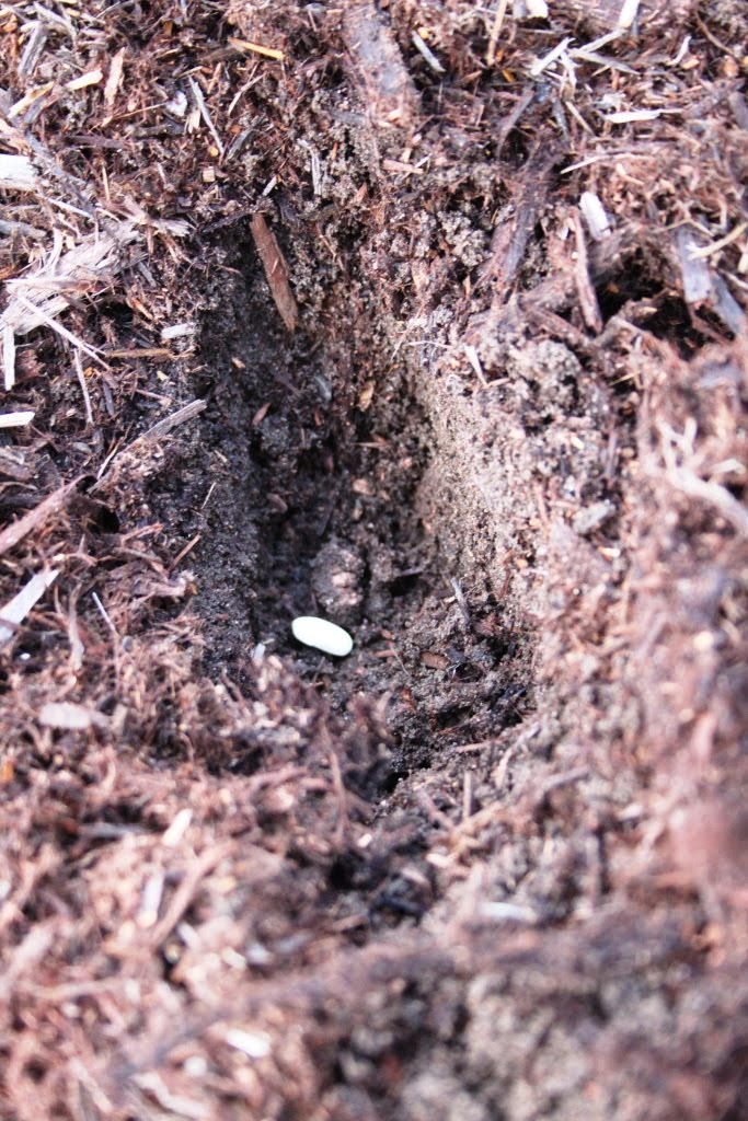 She dug holes, kissed them