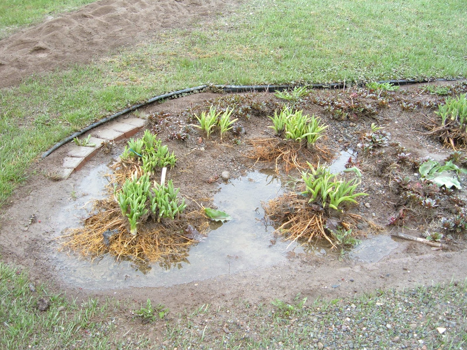 Of Petals and Wool SECOND POST ON FLOOD 2008 PHOTO ALBUM