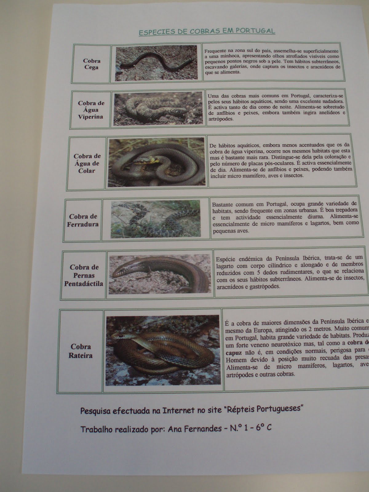 [PC030178.JPG]