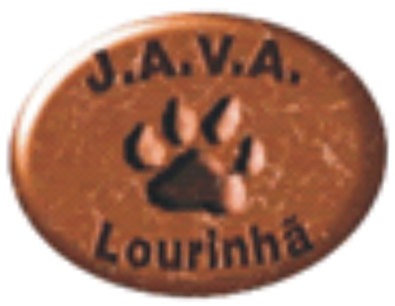 [Logo+Java.jpg]