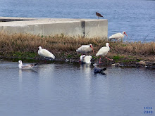 BOAT RAMP CREW