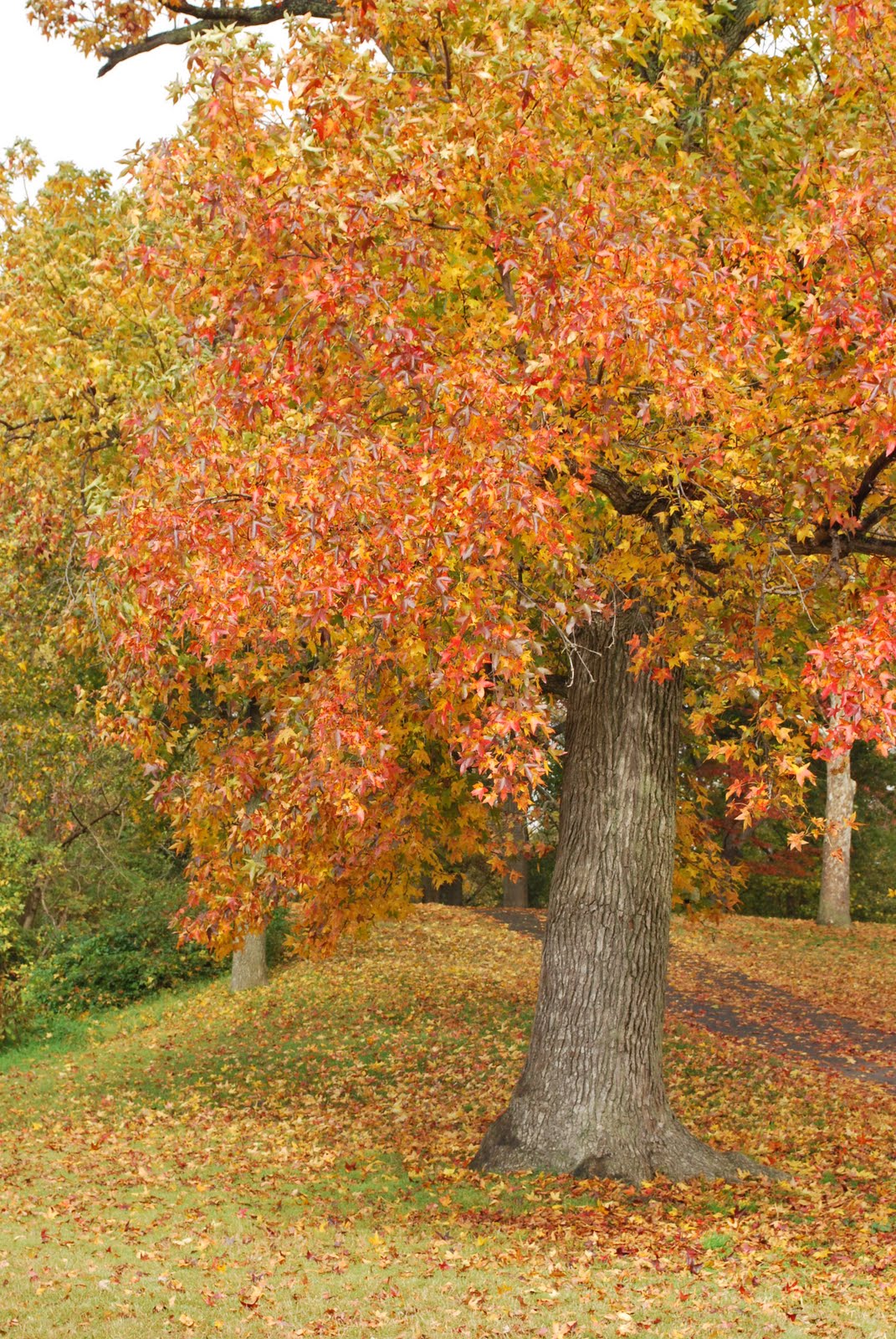 [DSC_0063.JPG]