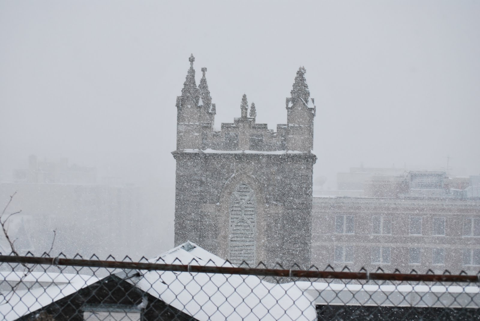 [DSC_0006.JPG]