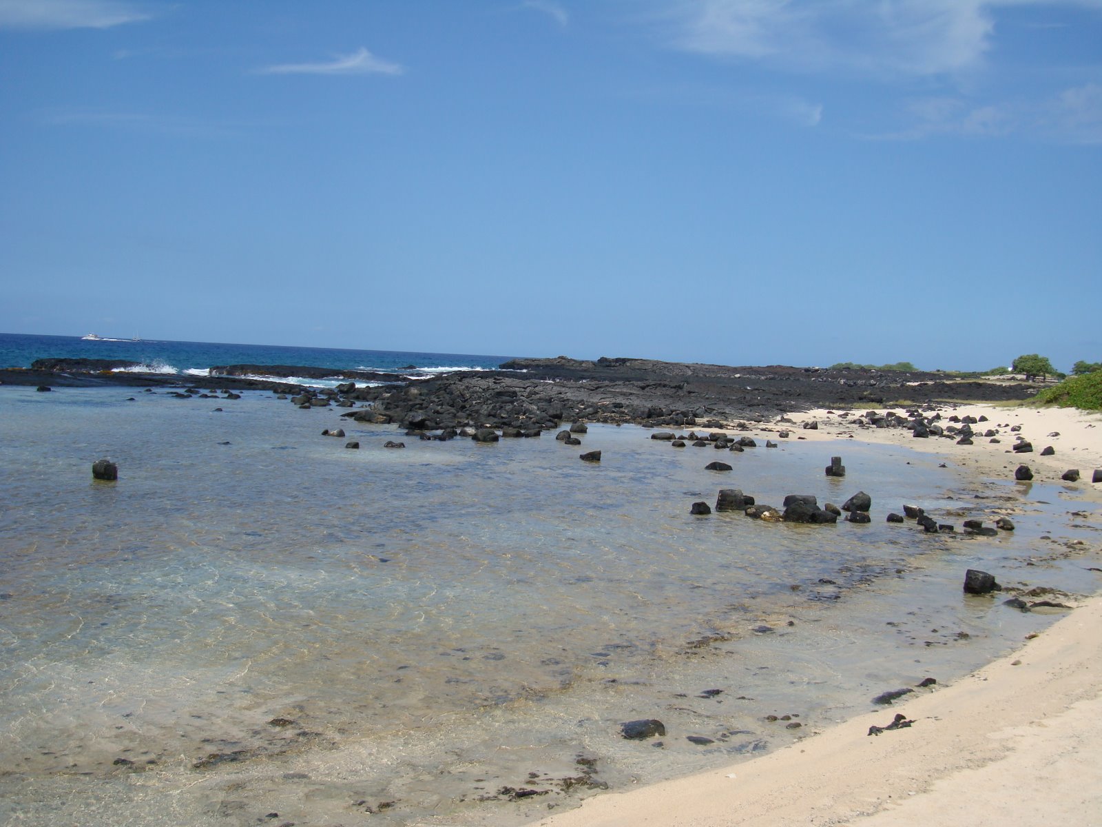[DSC00584.JPG]