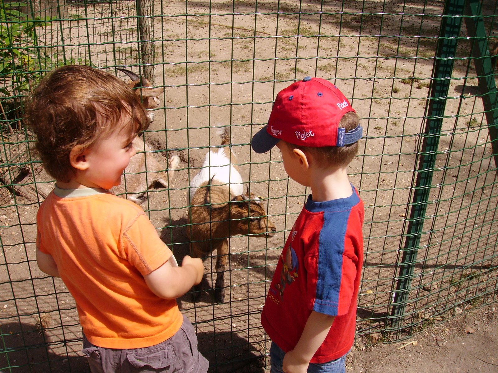 [2007-08-02+002.JPG]