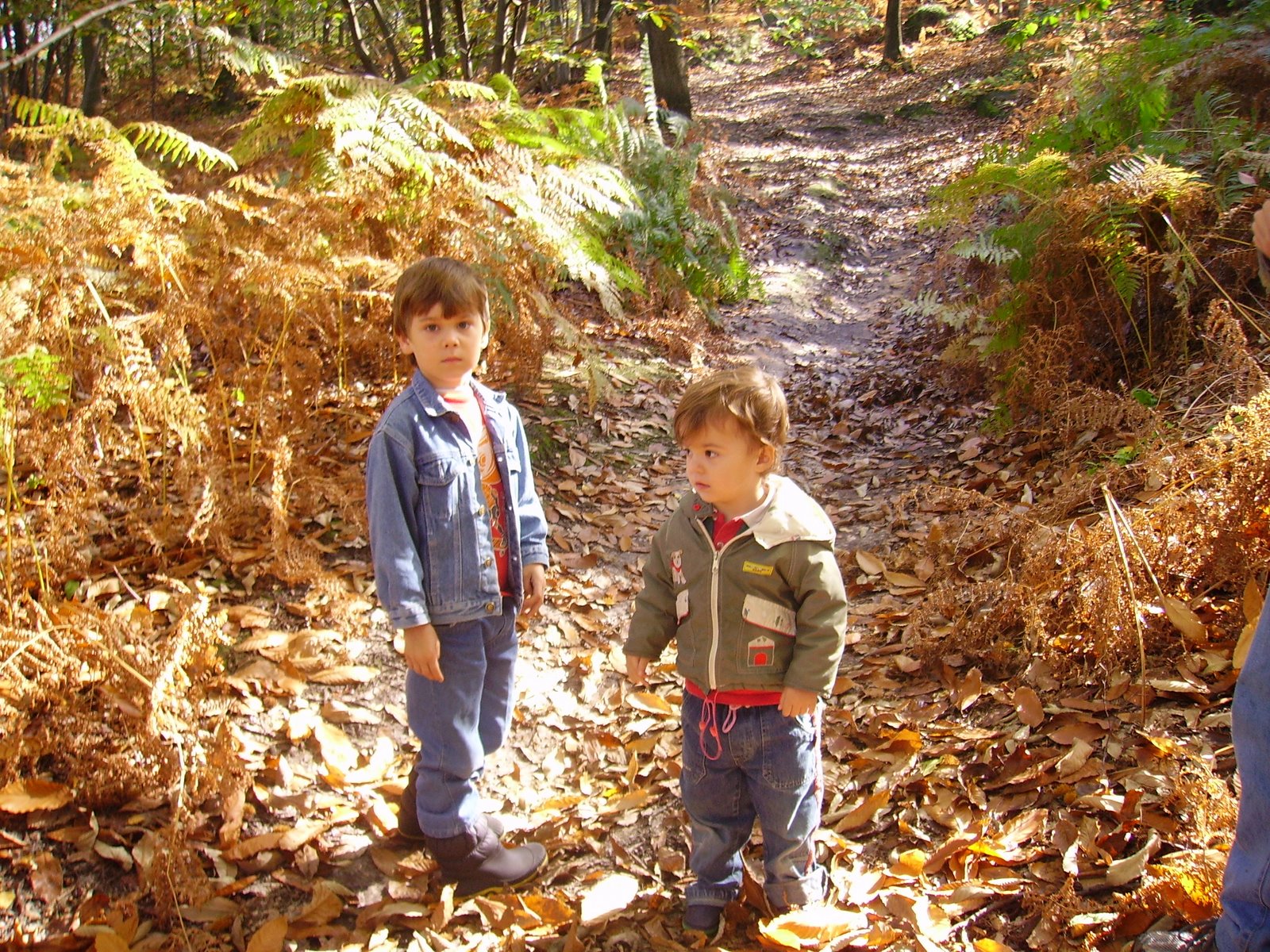 [2007-10-07+002.JPG]