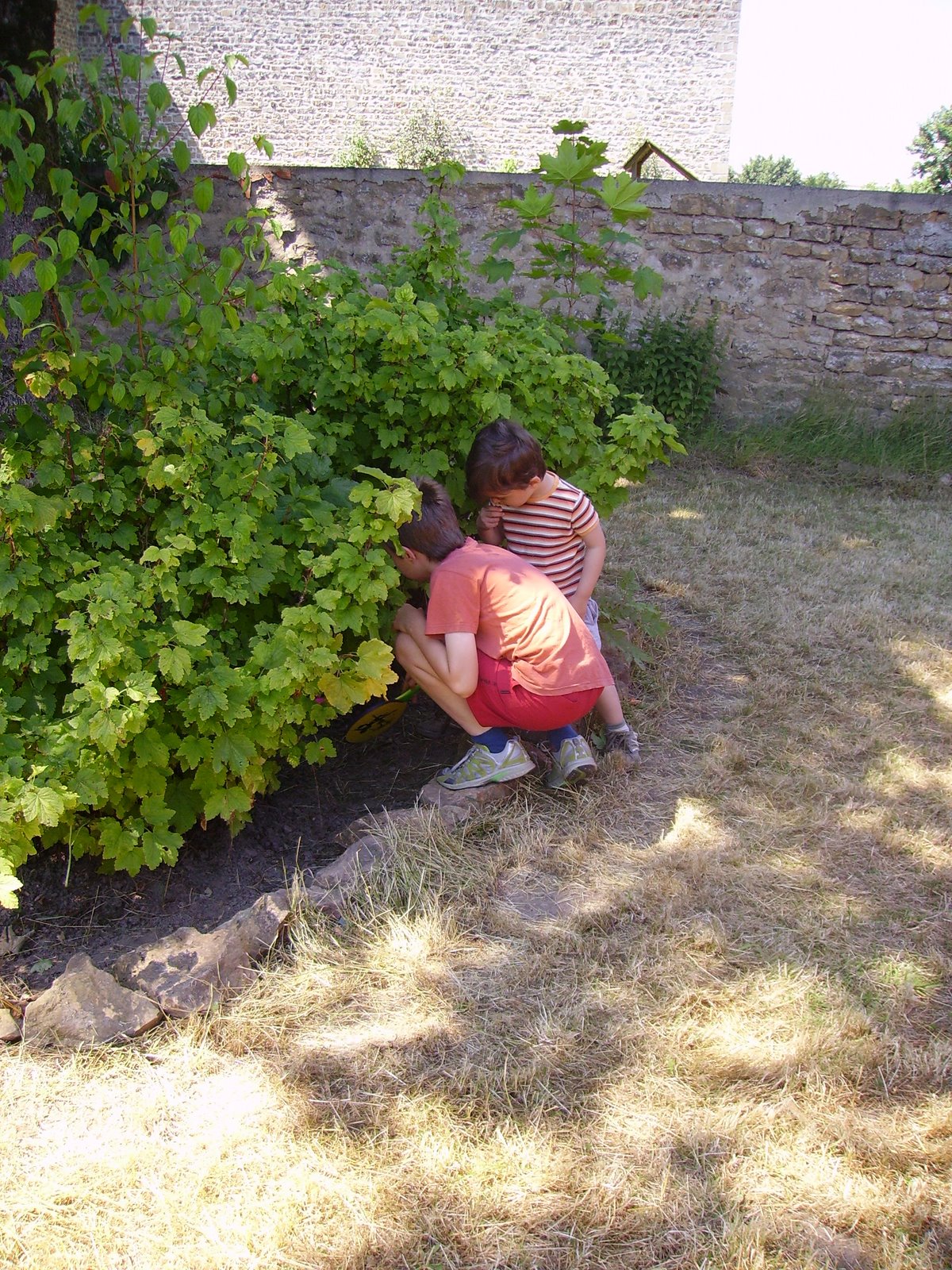 [2008-07-23+053.JPG]