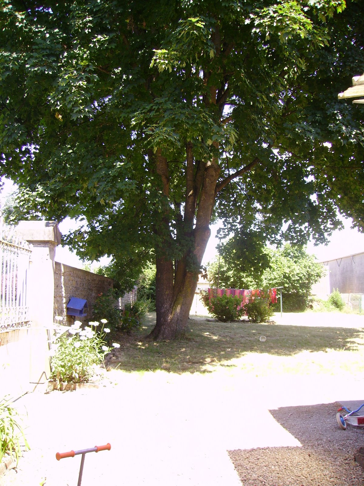 [Rotation+de+2008-07-23+061.JPG]