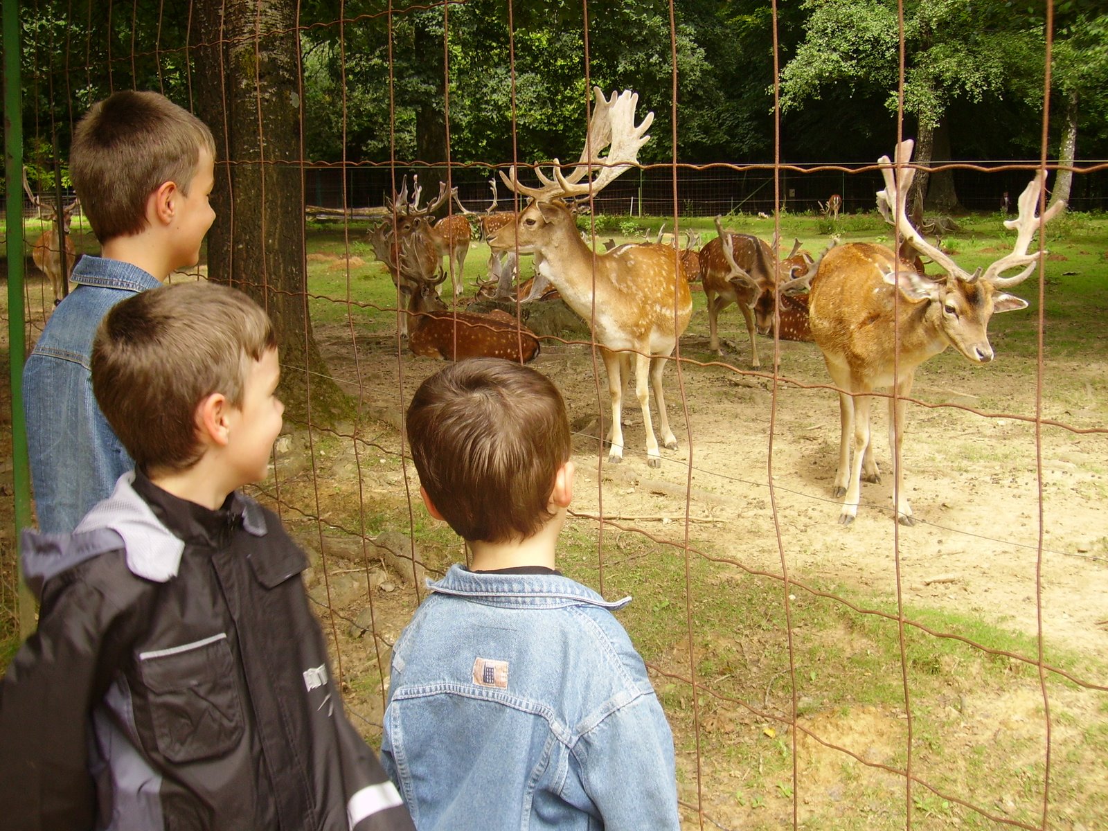 [2008-08-11+006.JPG]