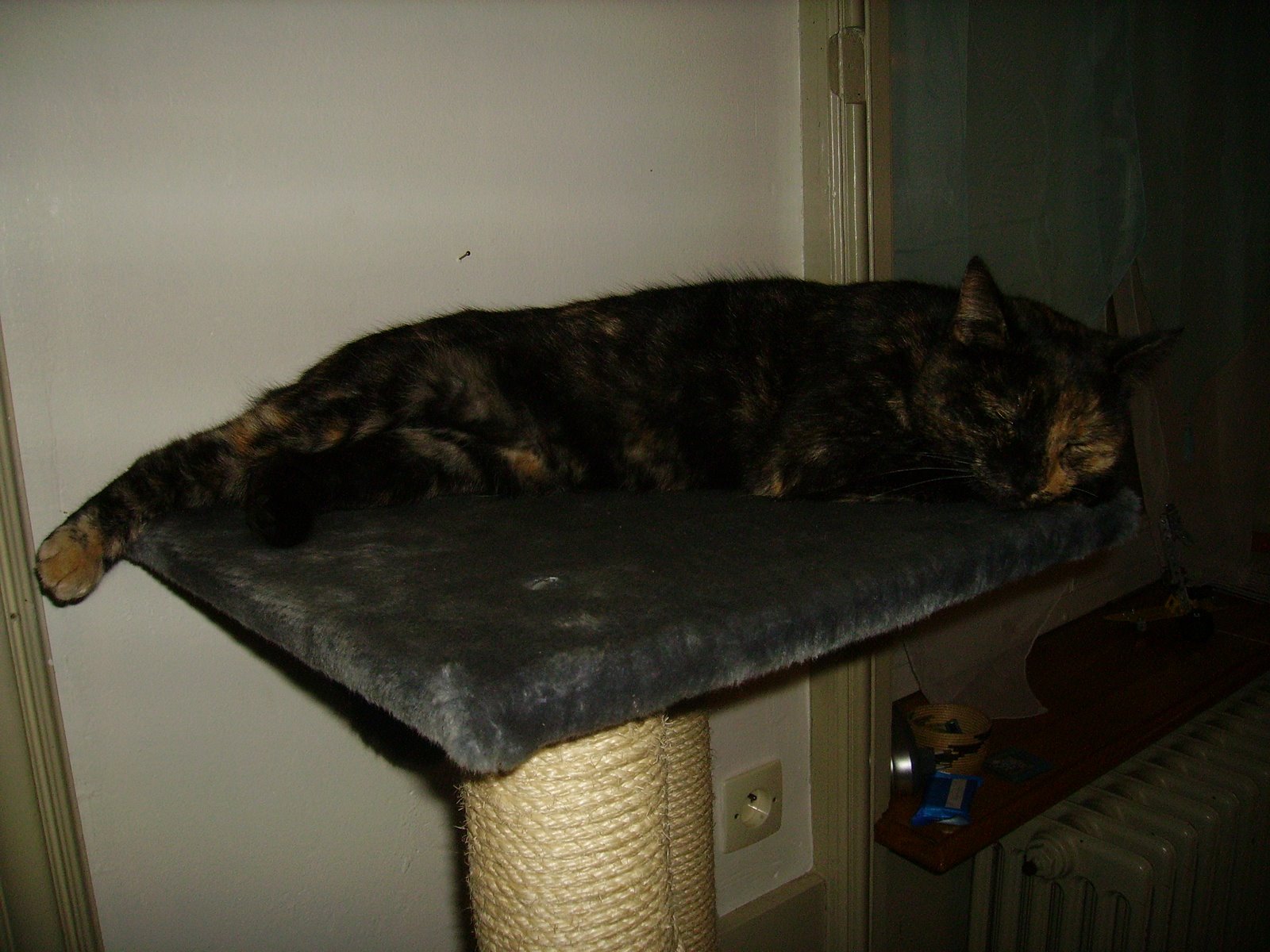 [2008-11-23+070.JPG]