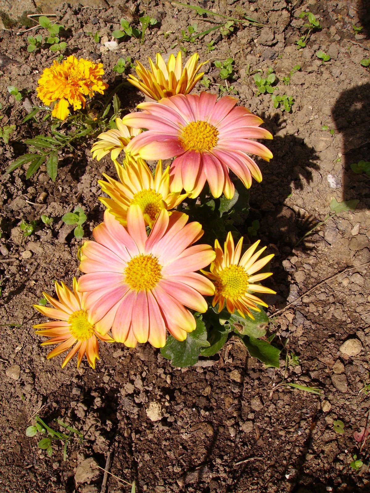 [2009-05-04+039.JPG]