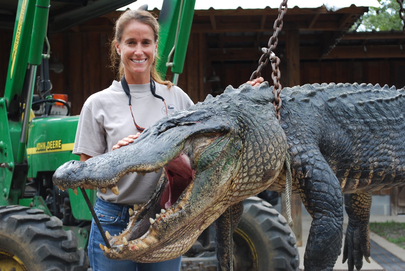 Alligator Head Mount