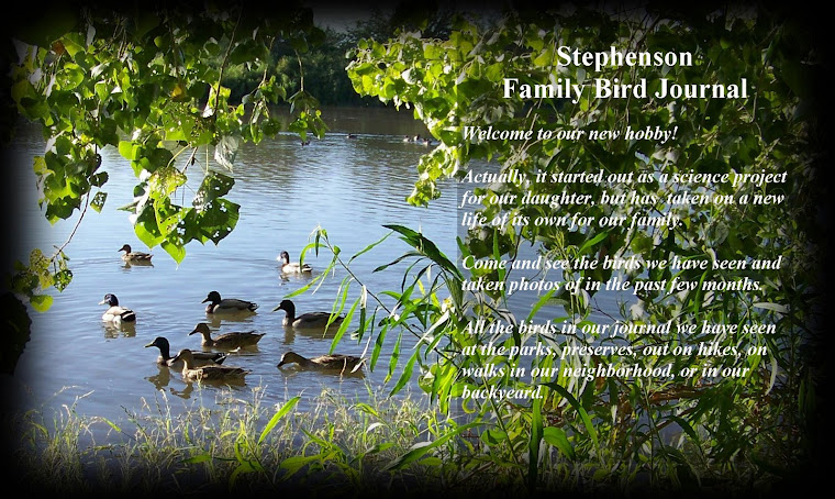 Stephenson Family Amateur Bird Journal