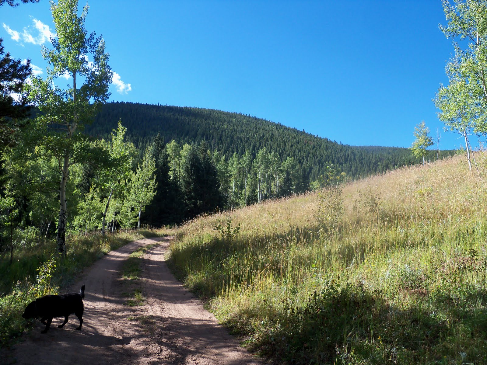 Trail and Park Reviews Barbour Forks Trail, exploratory hike, Idaho