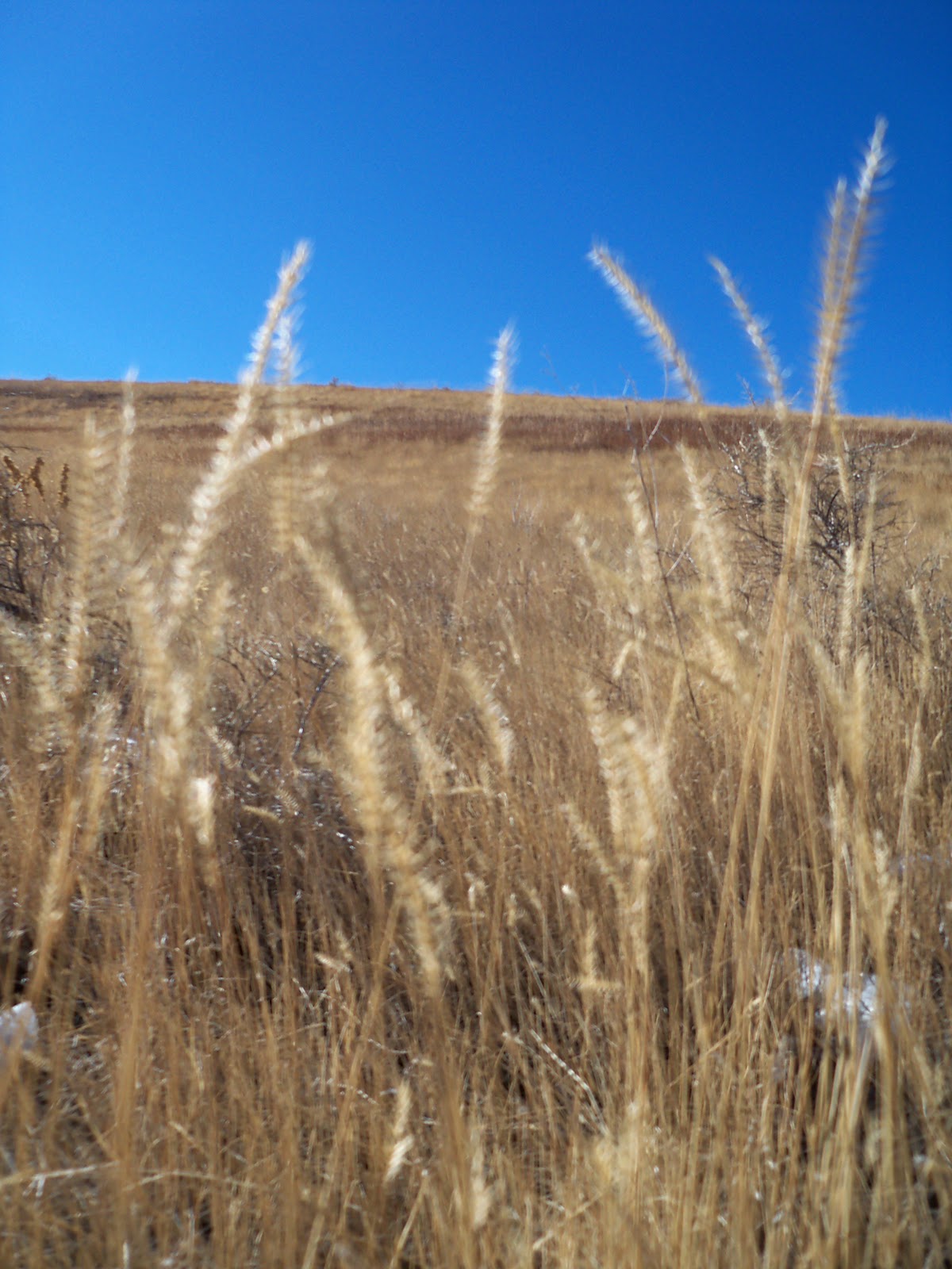 Trail and Park Reviews Hildebrand Ranch Park a new park in Jefferson