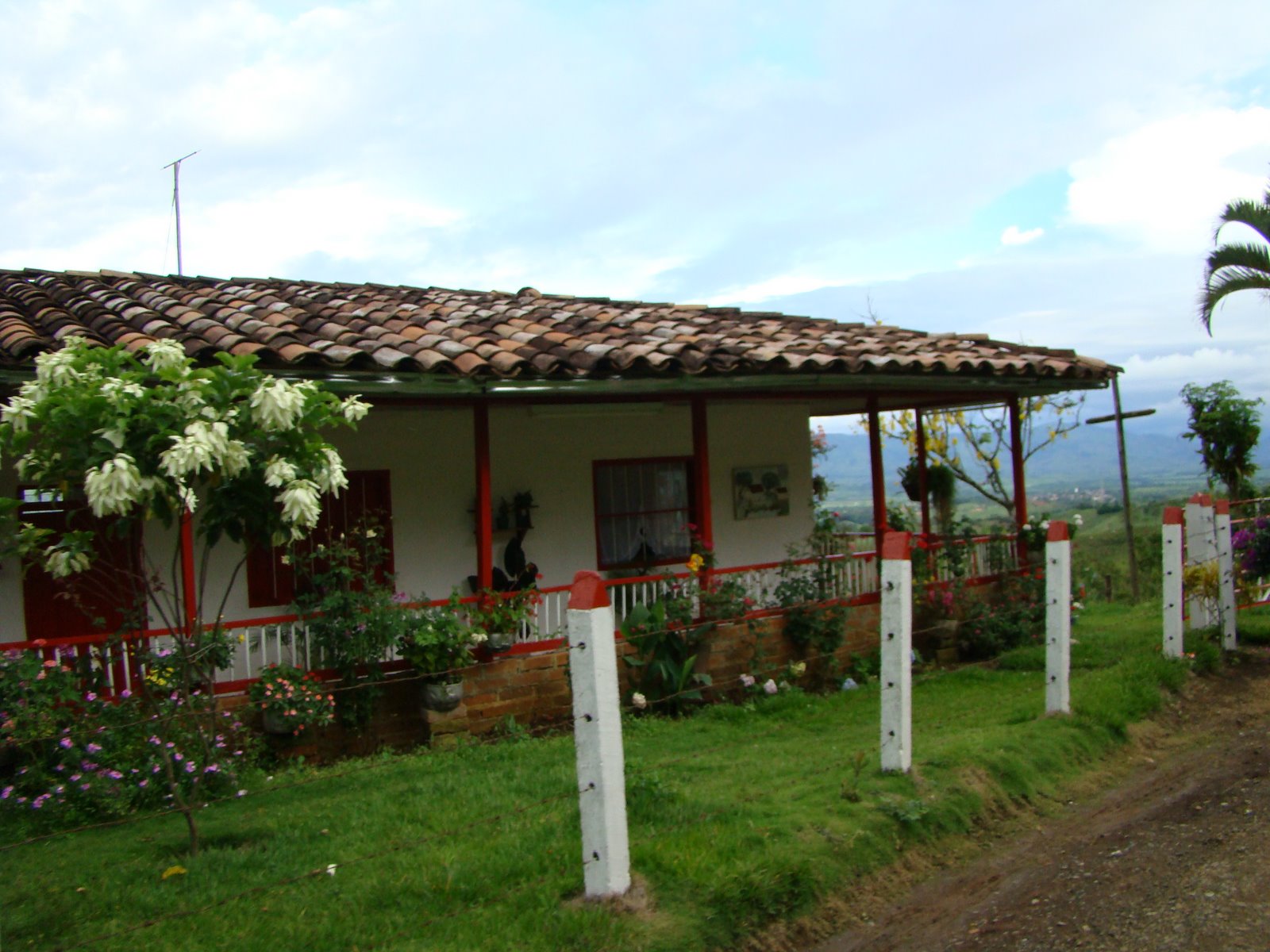 [DSC05810.JPG]