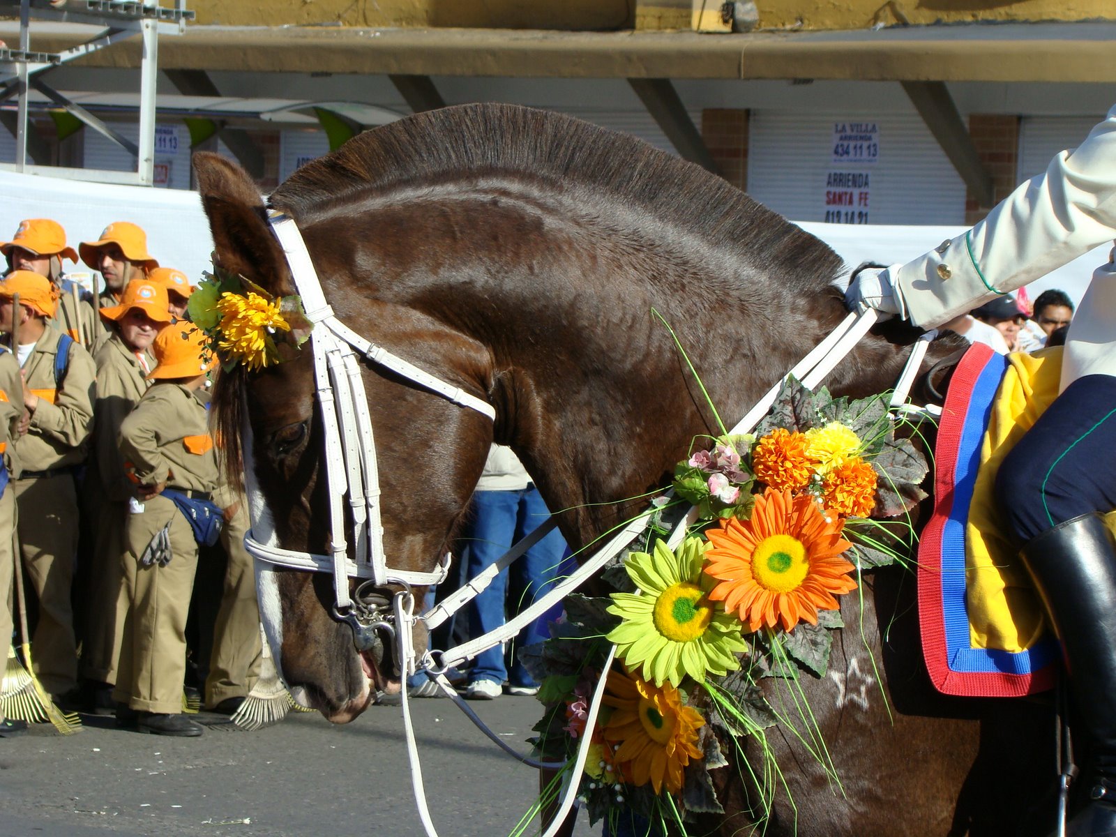 [DSC07342.JPG]