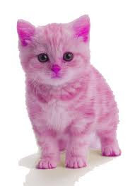 miauuuuu....