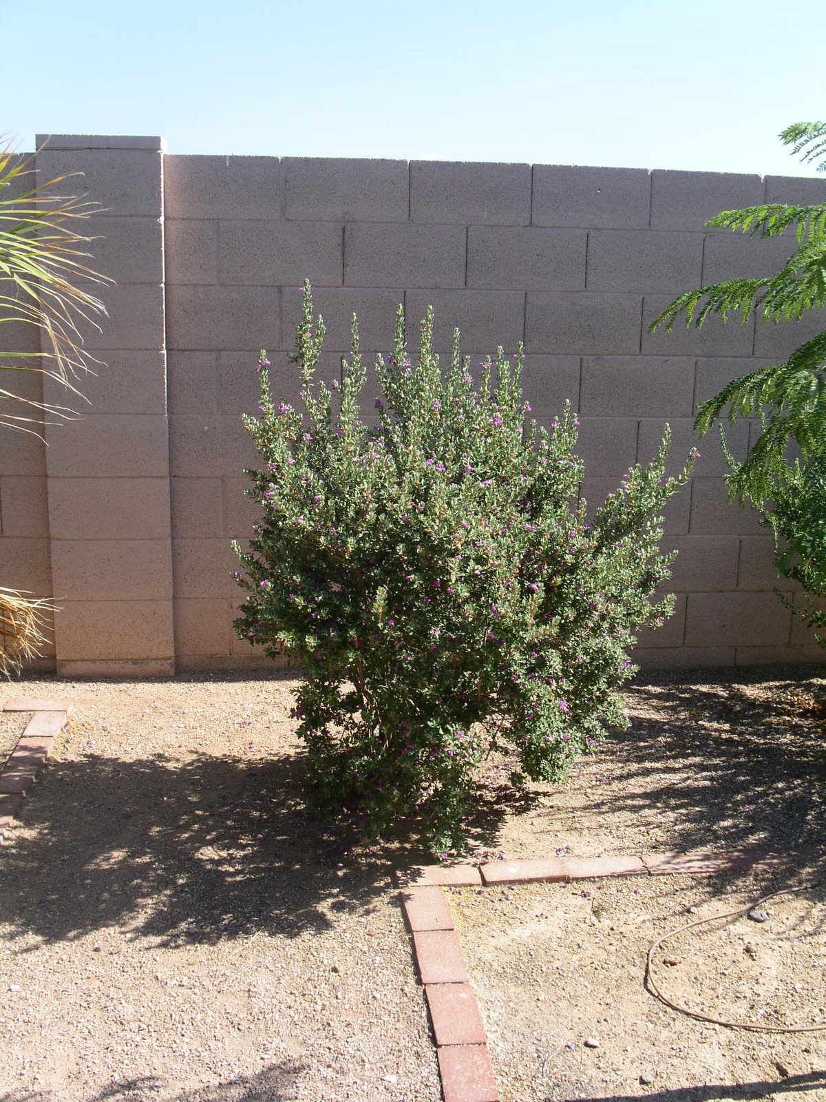 [2008_spring_events+024.jpg]