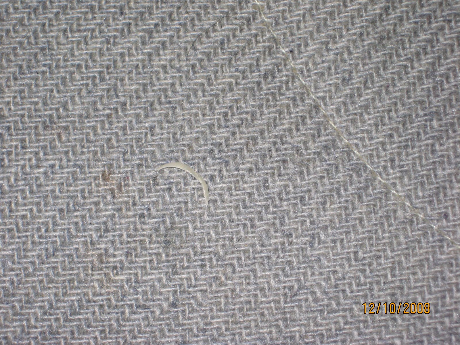 [IMG_0686+Toenail+2.JPG]