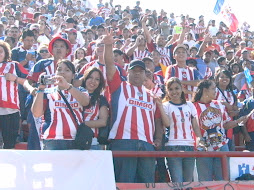 chivas en tijuana