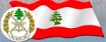تاريخ المدن والبلدات والضيعة اللبنانية