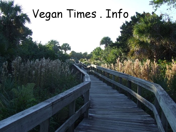VeganTimes.Info
