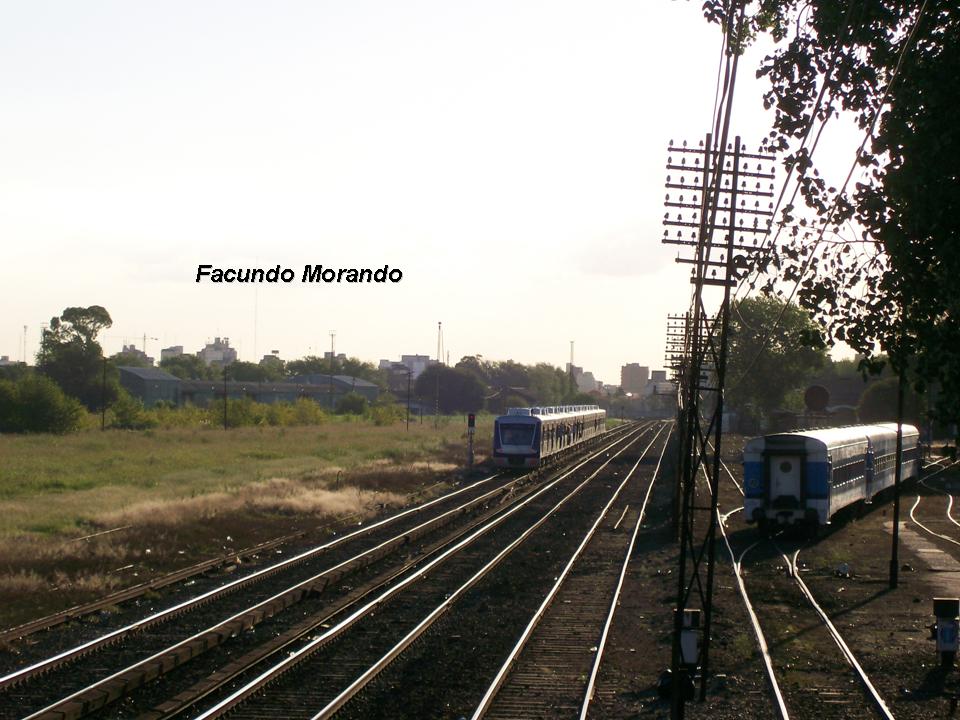 [fmorando17.jpg]