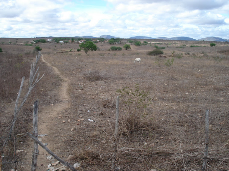 Assentamento Dom Hélder Câmara\Girau do Ponciano\AL