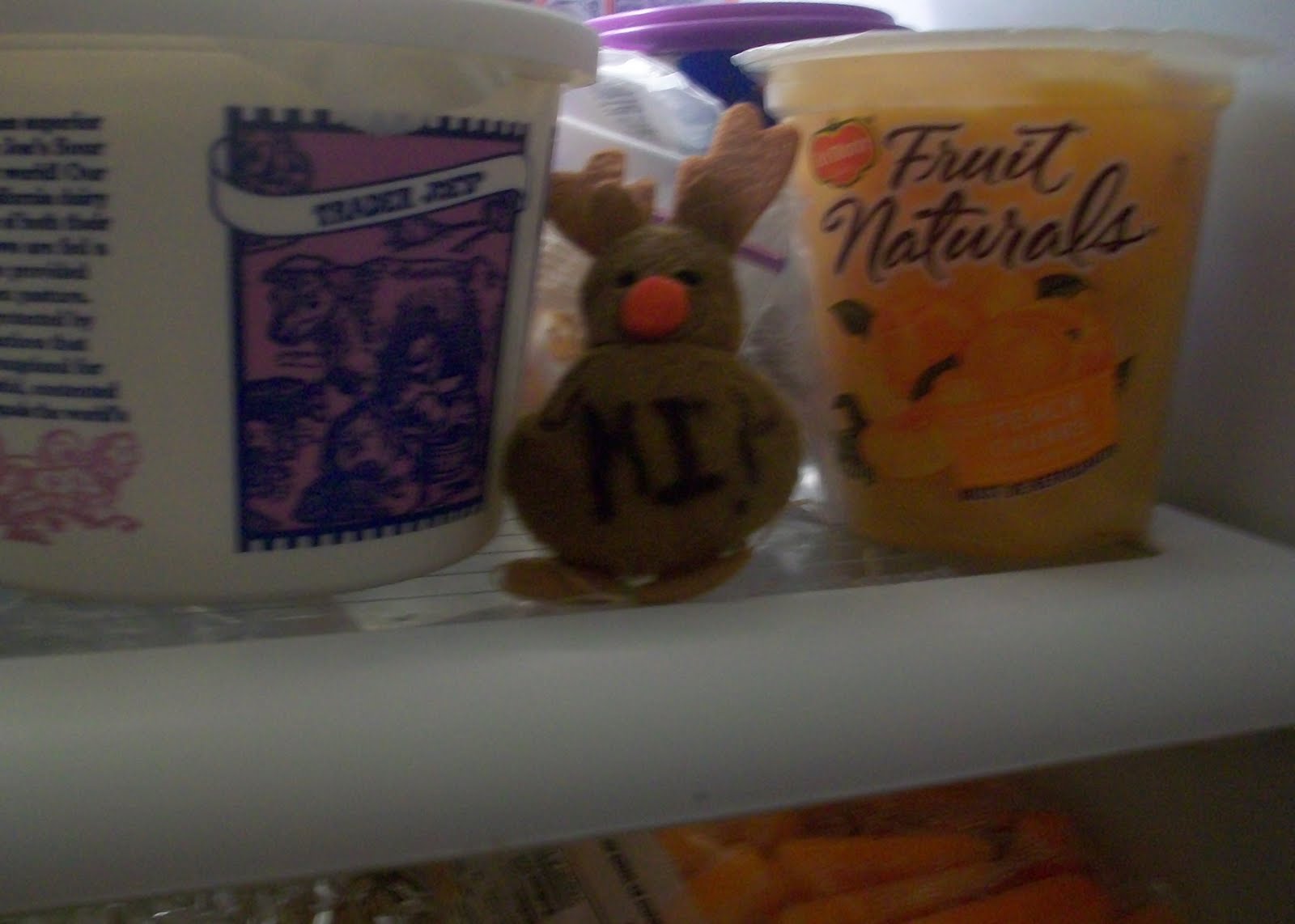 [reindeerfridge.jpg]